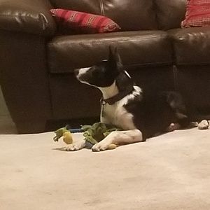 Meet your Posher, Beverly